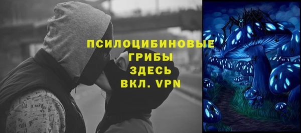 apvp Балабаново