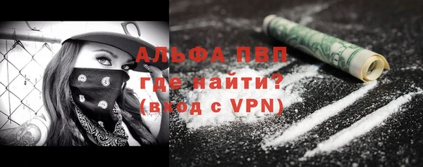 прущий лед Новозыбков