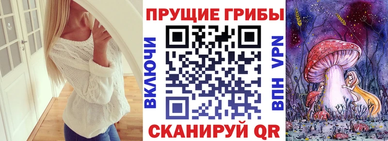 Псилоцибиновые грибы Psilocybine cubensis  Петухово 